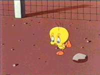 Tweety Gif