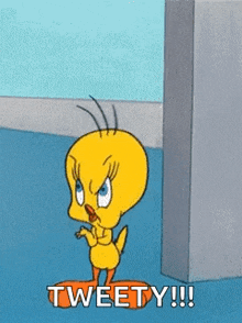Tweety Gif