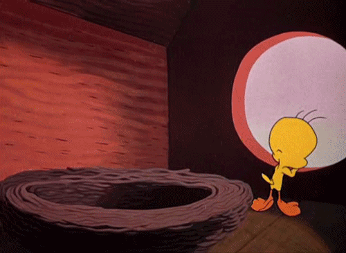 Tweety Gif