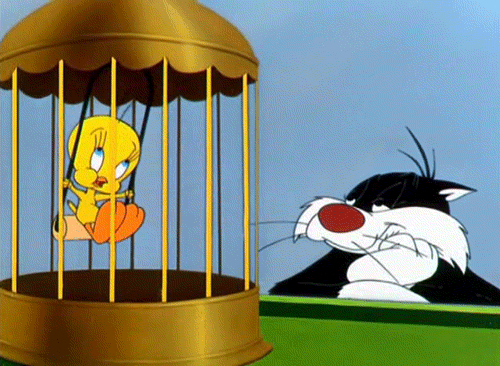 Tweety Gif