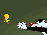 Tweety Gif