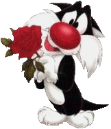 Tweety Gif