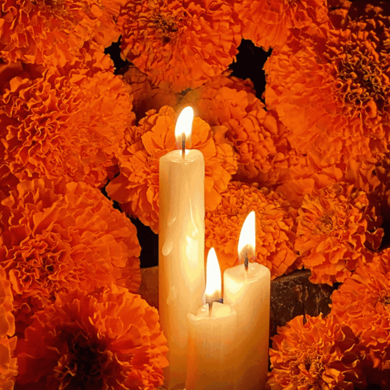 All Souls Day Animated GIF