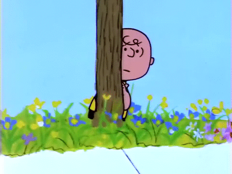 Charlie Brown Gif