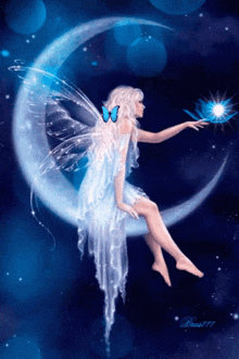 Fairy Gif