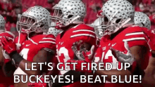 Go Bucks Gif