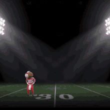 Go Bucks Gif
