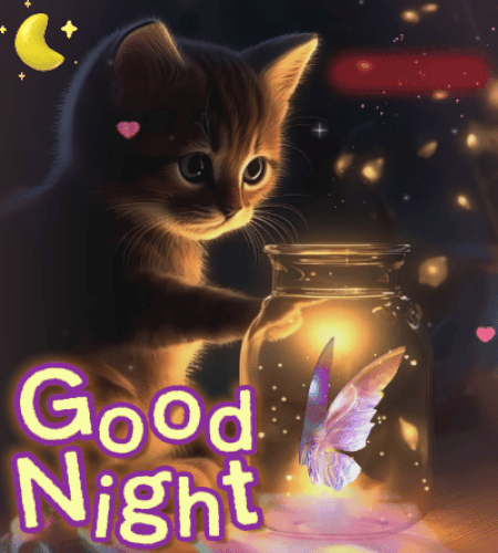 Good Night Gif
