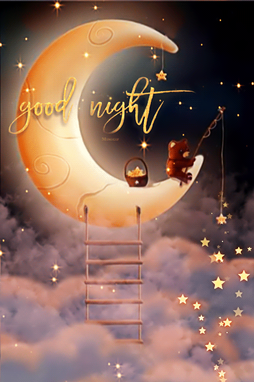 Good Night Gif