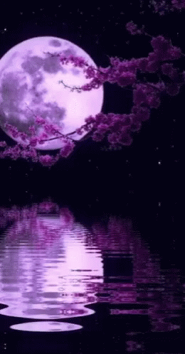 Moon Gif