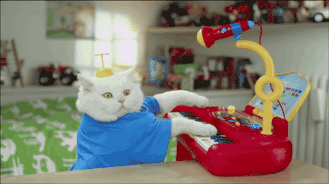 Noel Cat Gif