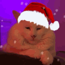 Noel Cat Gif