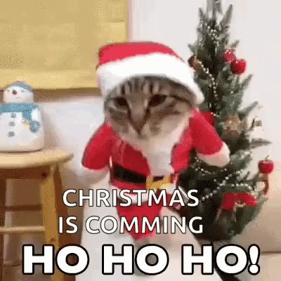 Noel Cat Gif