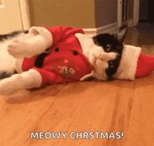 Noel Cat Gif