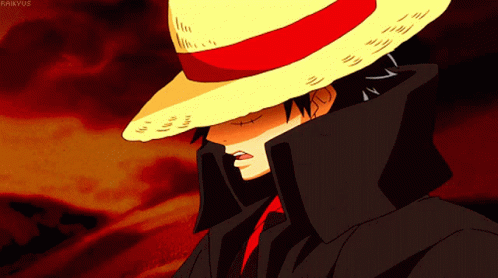 One Piece Gif