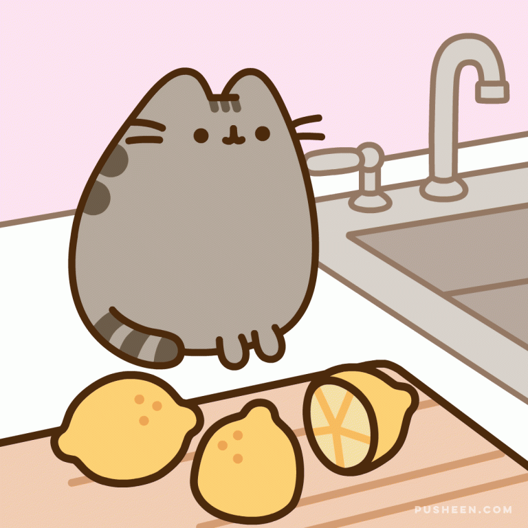 Pusheen Animated GIF