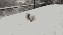 Snow Gif