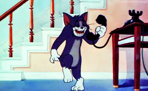 Tom and Jerry Gif