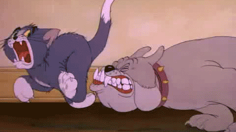 Tom and Jerry Gif