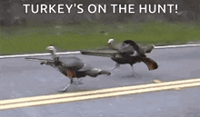 Turkey Gif