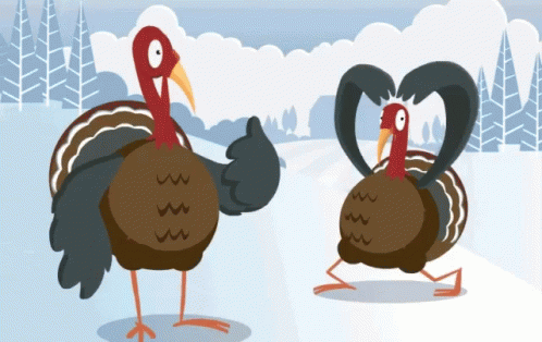 Turkey Gif
