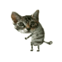Dancing Cat Gif