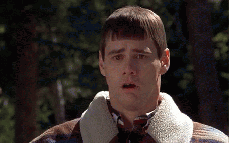 Dumb And Dumber Gif