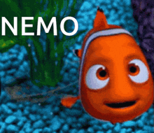 Finding Dory Gif