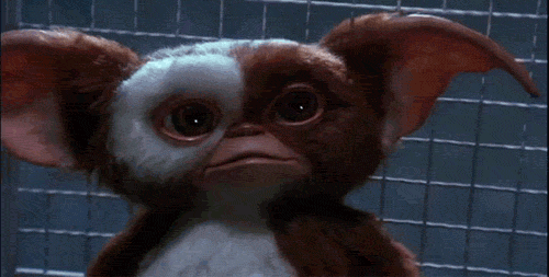 Gremlins Gif