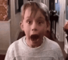 Home Alone Gif