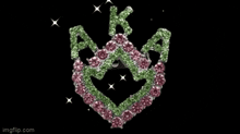 Alpha Kappa Alpha Gif