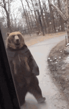 Bear Gif