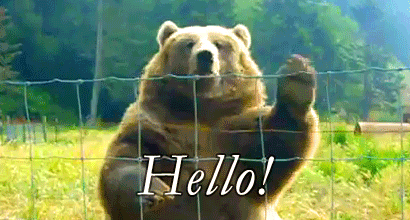 Bear Gif