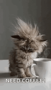 Coffee Gif