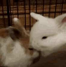 Cuddle Gif