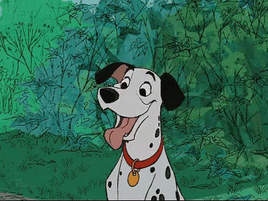 Dalmatian Dog Gif