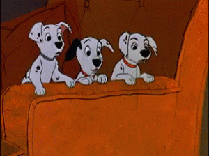 Dalmatian Dog Gif