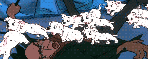 Dalmatian Dog Gif