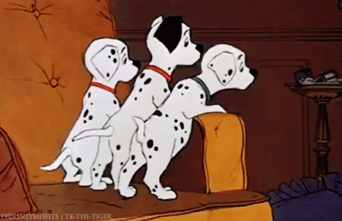 Dalmatian Dog Gif