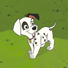 Dalmatian Dog Gif