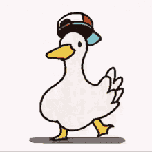 Duck Gif