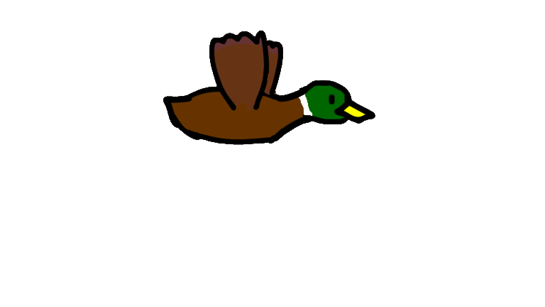 Duck Animated GIF