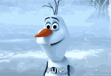 Frozen Gif