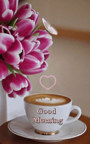 Good Morning Gif