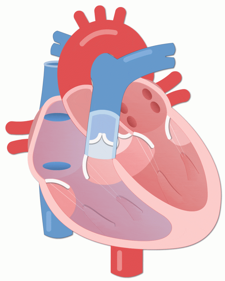 Heart Animated GIF
