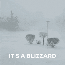Blizzard Gif