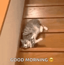 Morning Gif