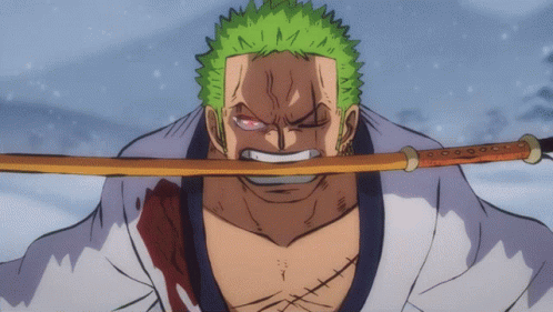 One Piece Gif