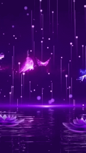 Purple Gif