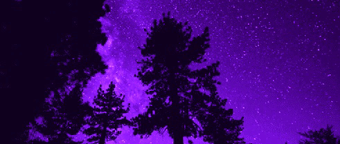 Purple Gif